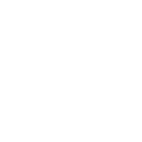 Expert Team